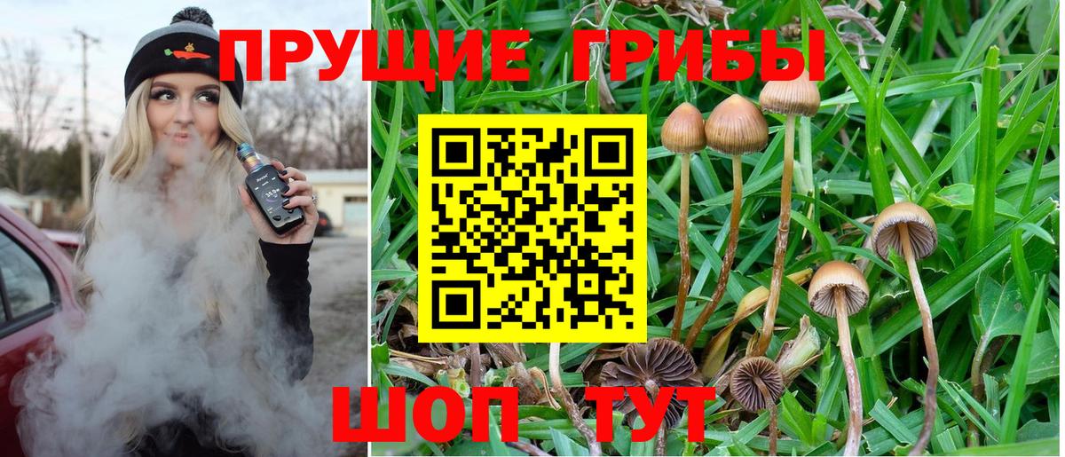 Галлюциногенные грибы Psilocybine cubensis  Псилоцибиновые грибы Psilocybine cubensis  Сыктывкар  Вход с VPN 